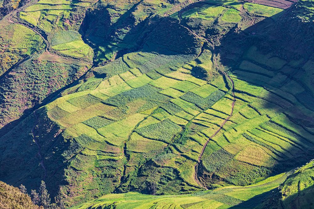 Ethiopia. Amhara. North Gondar. Farm fields in the Ethiopian highlands. art print by Emily M. Wilson for $57.95 CAD