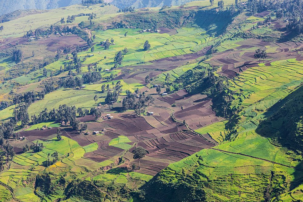 Ethiopia. Amhara. North Gondar. View of farms and a village in the Ethiopian highlands. art print by Emily M. Wilson for $57.95 CAD