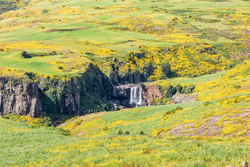 Ethiopia. Amhara. Waterfall in a hillside covered in wildflowers. art print by Emily M. Wilson for $57.95 CAD