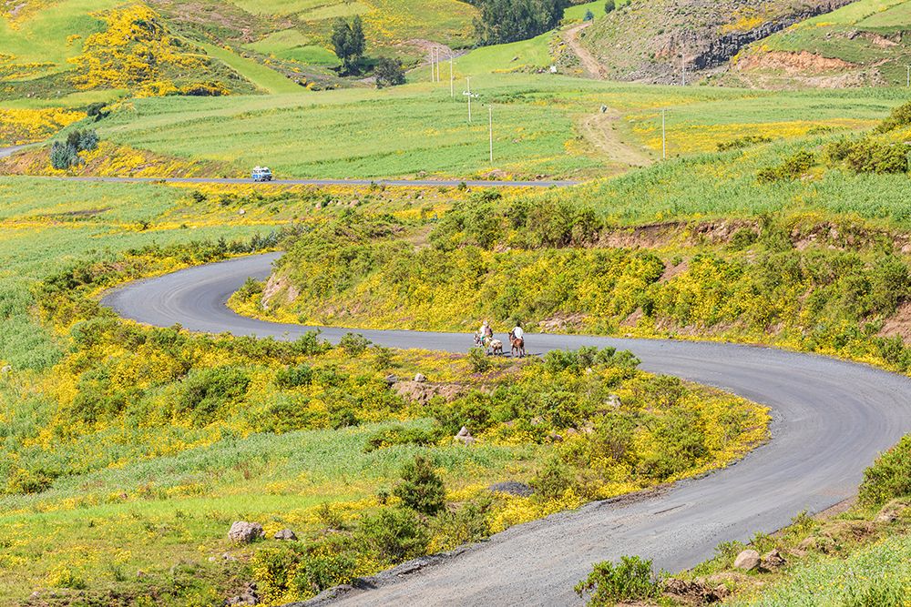 Ethiopia. Amhara. Winding road in the Ethiopian highlands. art print by Emily M. Wilson for $57.95 CAD