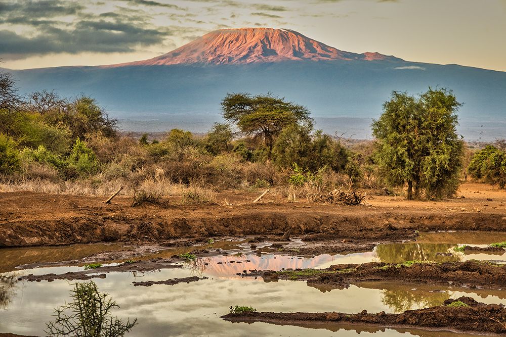 Kilimanjaro in morning-Amboseli National Park-Africa art print by John Ford for $57.95 CAD