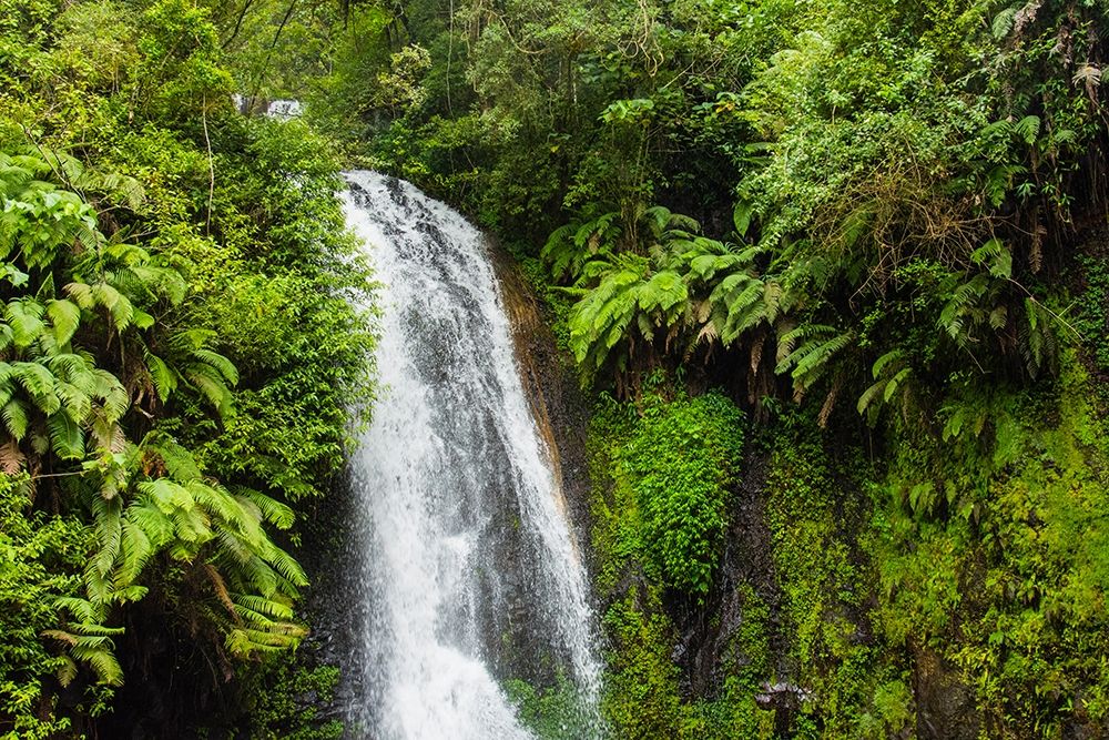Madagascar-Antsiranana Amber Mountain National Park waterfall art print by Inger Hogstrom for $57.95 CAD
