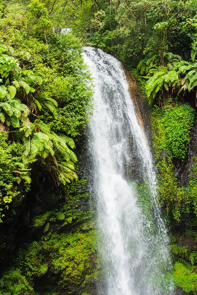 Madagascar-Antsiranana Amber Mountain National Park waterfall art print by Inger Hogstrom for $57.95 CAD