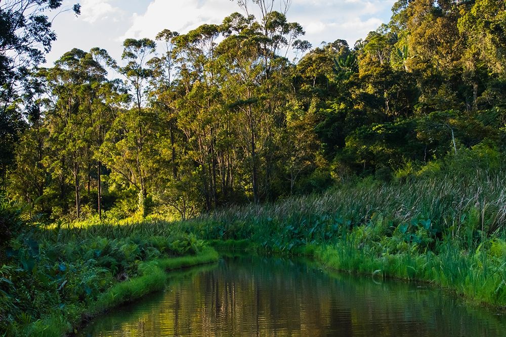 Madagascar-Andasibe-Vakona Lodge-Lemur Island Sunset over the canals that keep the lemurs art print by Inger Hogstrom for $57.95 CAD