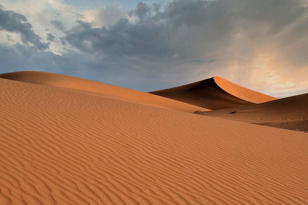 Sand dunes glow orange at sunset in the Sahara Desert. art print by Betty Sederquist for $57.95 CAD