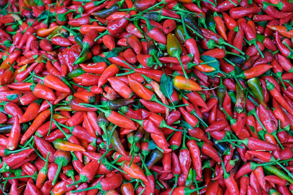 Fes-Morocco Red hot chiles for sale in the market art print by Julien McRoberts for $57.95 CAD