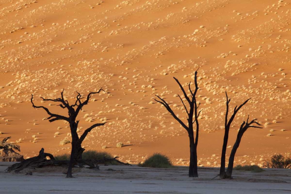 Dead tree, Dead Vlei, Sossusvlei, Namibia art print by Wendy Kaveney for $57.95 CAD