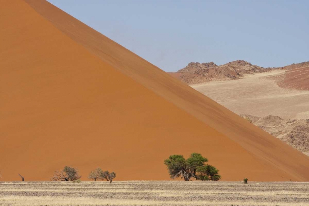 Sand Dunes, Namib Naukluft, Namib Desert, Namibia art print by Bill Young for $57.95 CAD