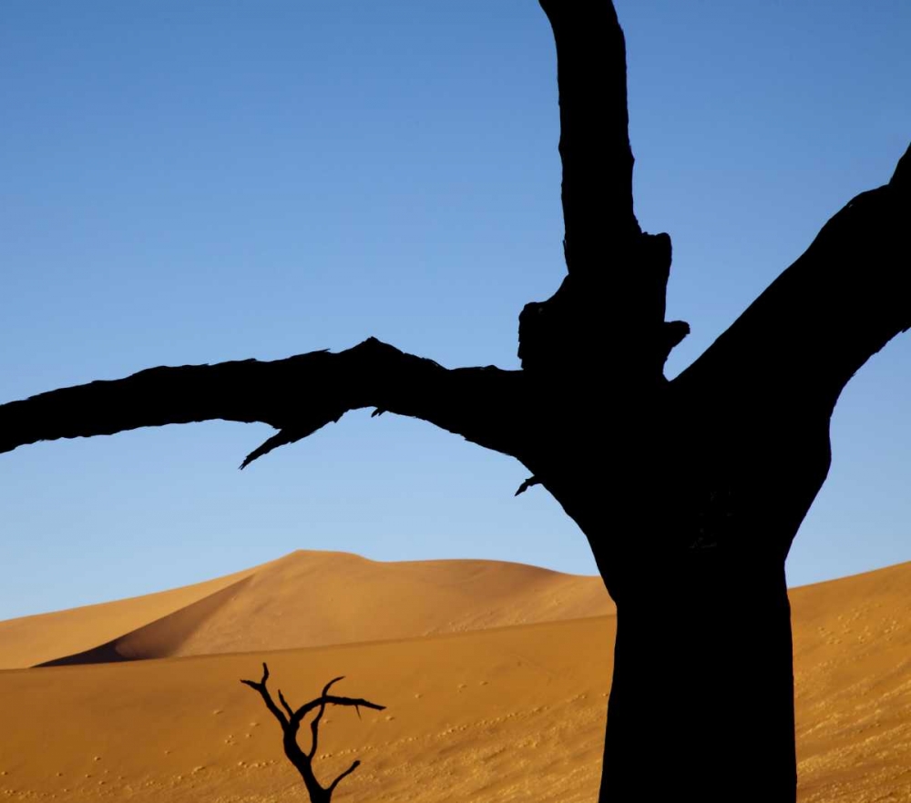 Namibia, Sossusvlei Dead trees with sand dune art print by Wendy Kaveney for $57.95 CAD