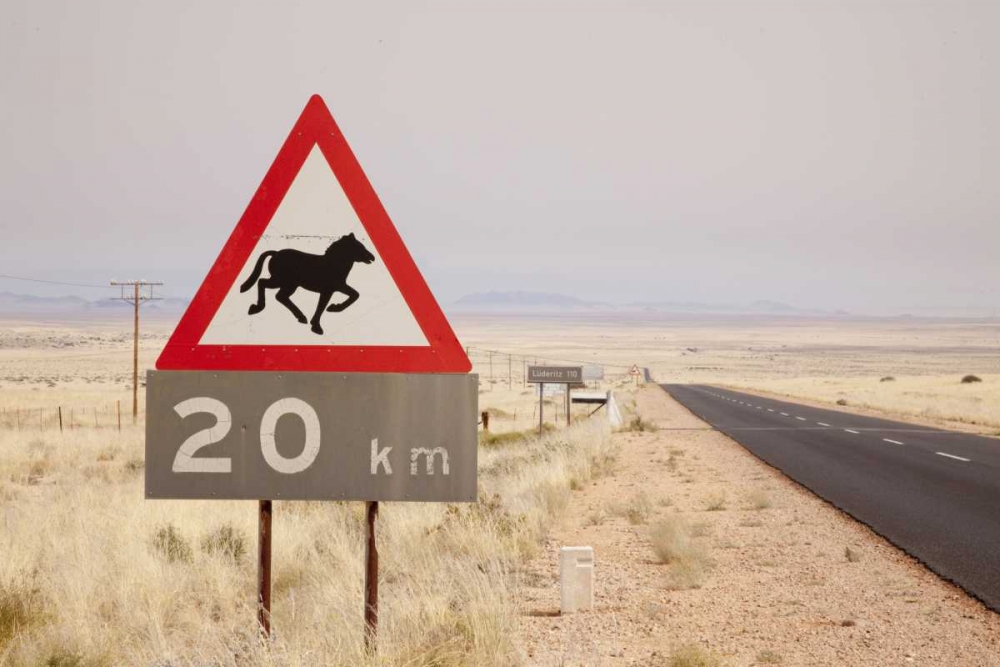 Namibia, Aus Wild horse warning sign art print by Wendy Kaveney for $57.95 CAD