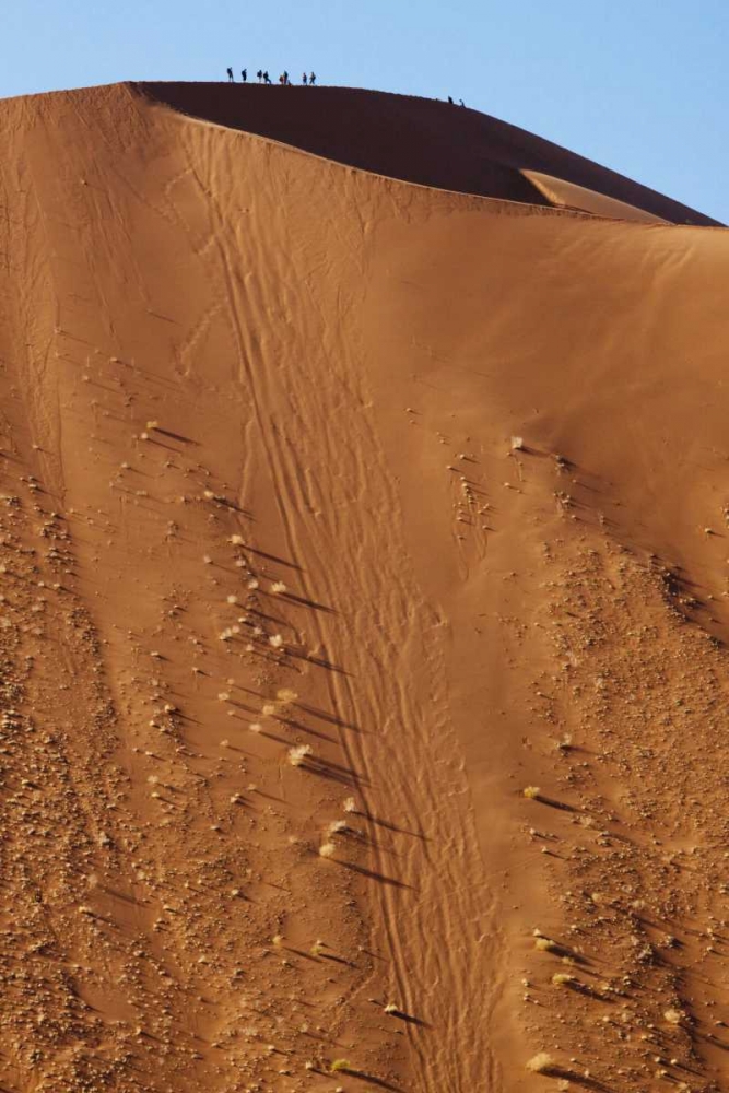 Namibia, Sossusvlei People atop a sand dune art print by Wendy Kaveney for $57.95 CAD