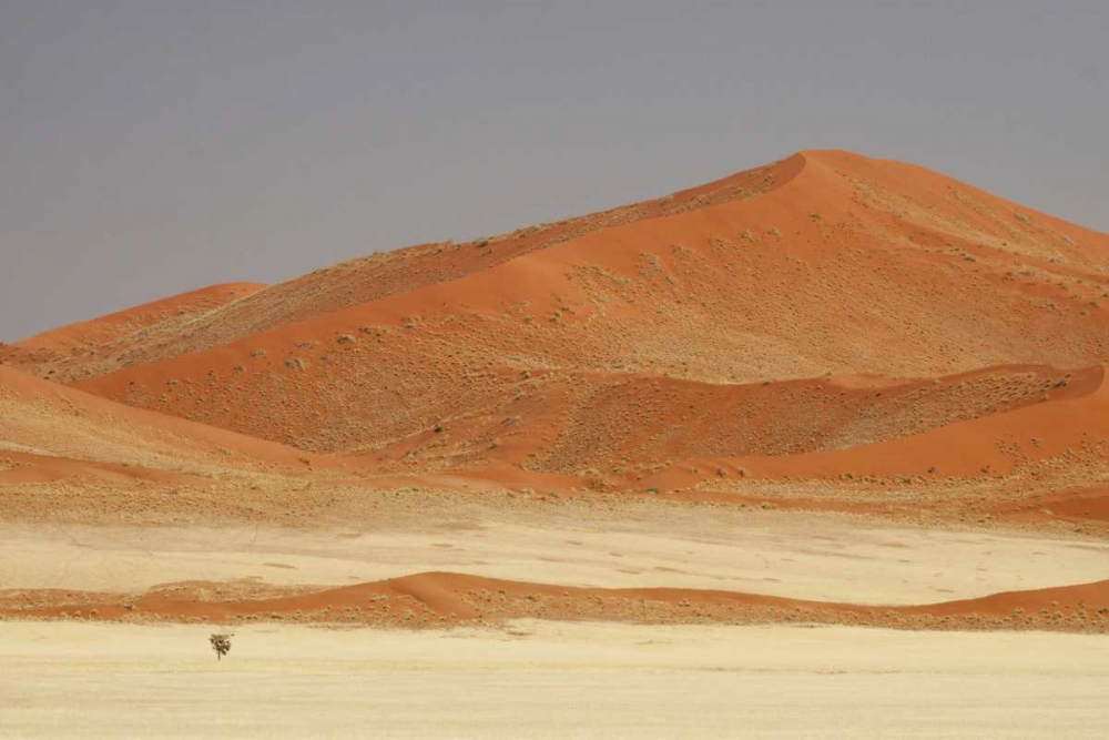 Namibia, Namib Desert Patterns on sand dunes art print by Wendy Kaveney for $57.95 CAD