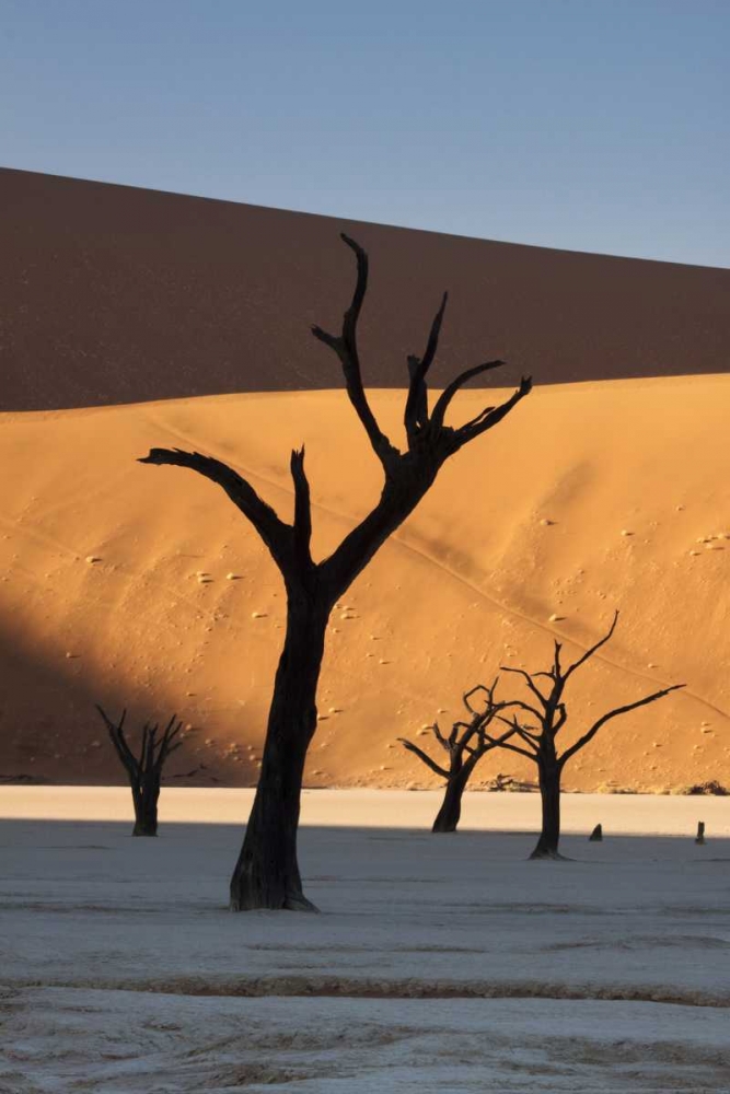Namibia, Sossusvlei Sunrise on dead trees art print by Wendy Kaveney for $57.95 CAD