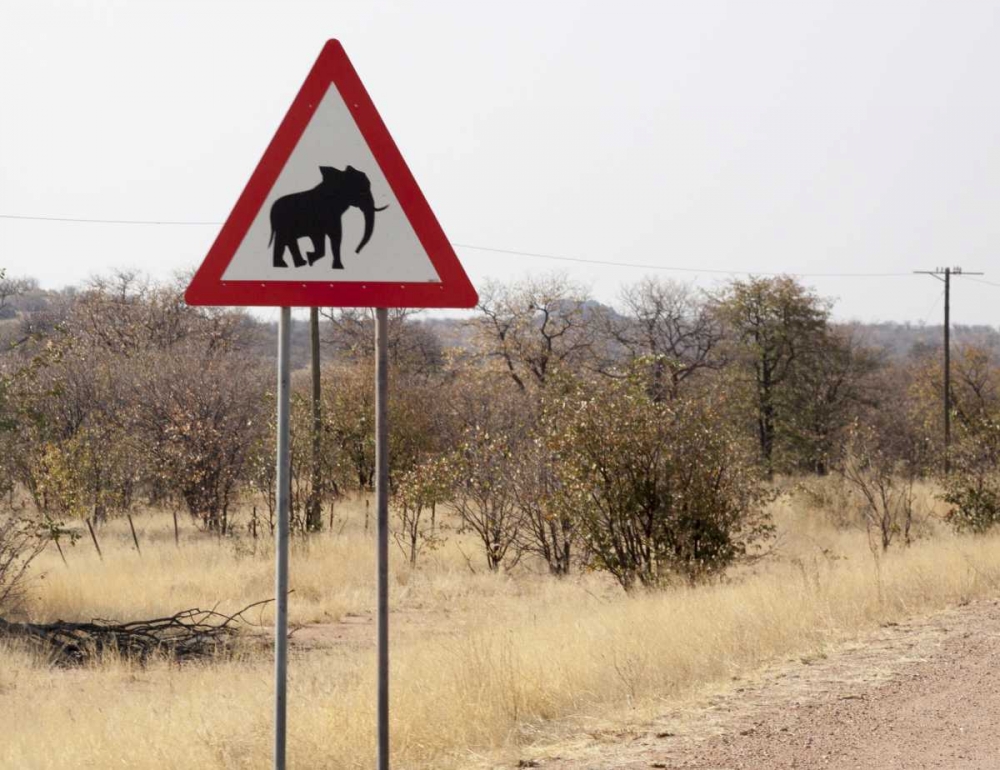 Namibia, Damaraland Sign warning about elephants art print by Wendy Kaveney for $57.95 CAD