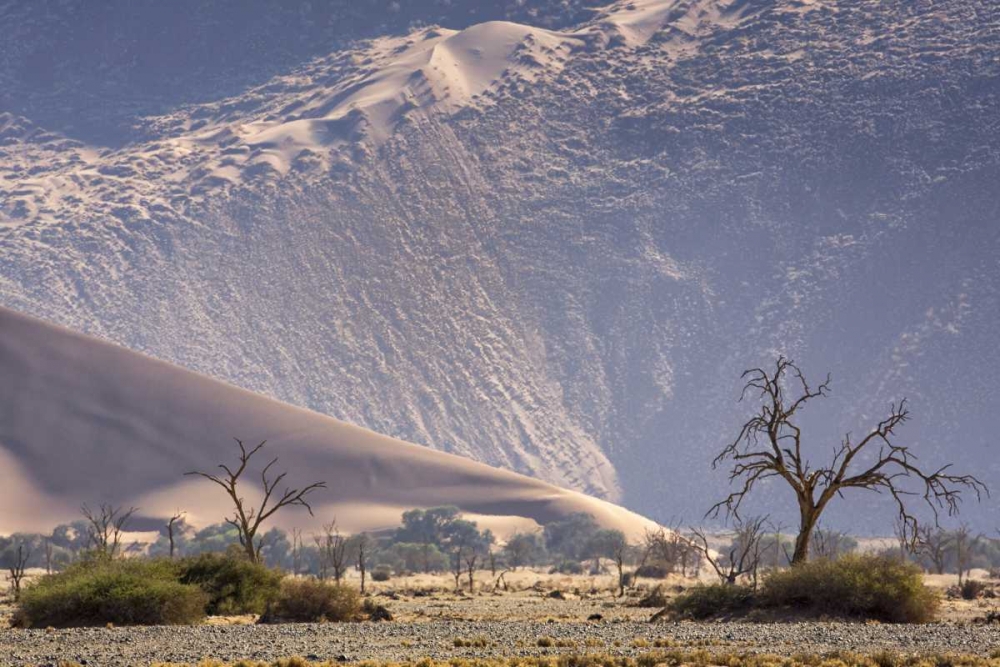 Namibia, Namib-Naukluft Sand dunes and trees art print by Wendy Kaveney for $57.95 CAD