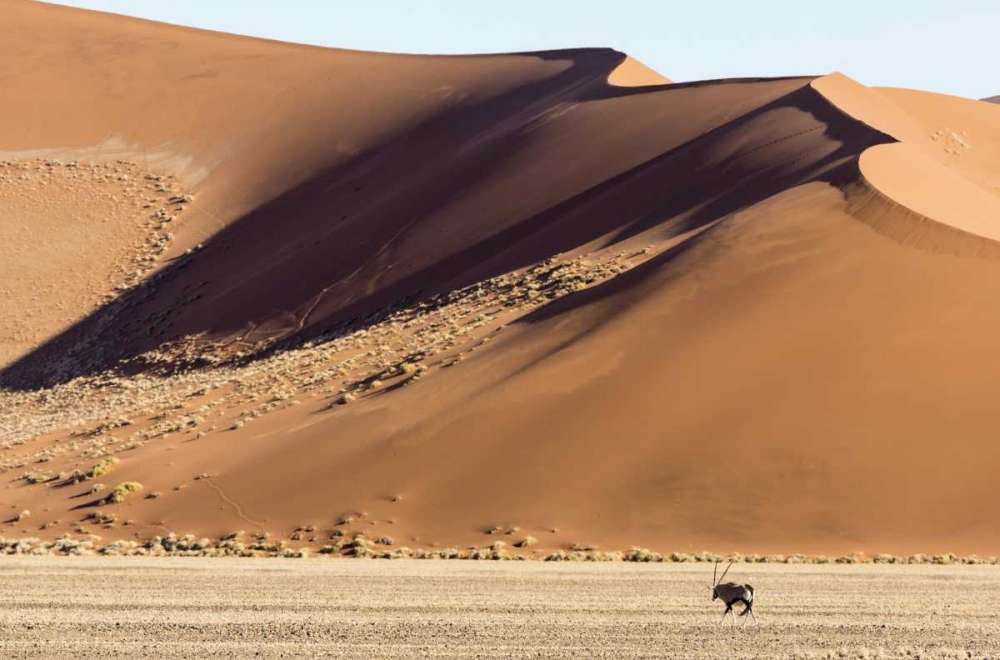 Namibia, Namib-Naukluft Park Sand dunes and Oryx art print by Wendy Kaveney for $57.95 CAD