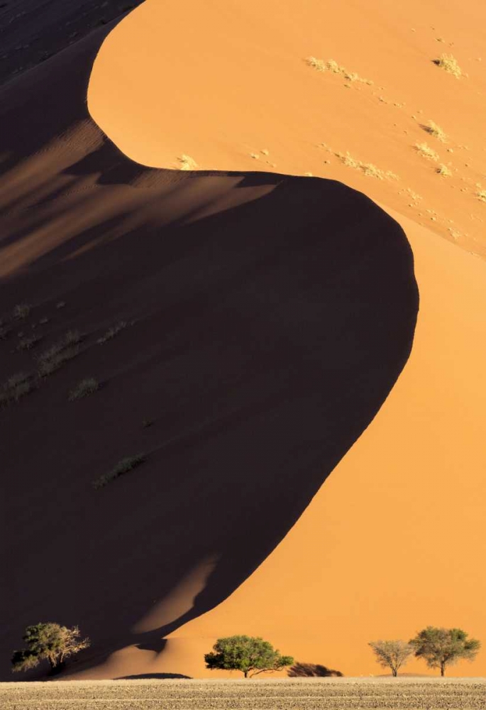 Namibia, Namib-Naukluft Park Sand dune and trees art print by Wendy Kaveney for $57.95 CAD