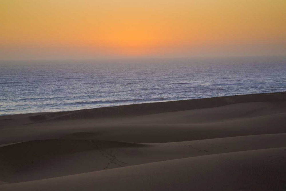 Namibia, Namib Desert, Swakopmund Skeleton Coast art print by Wendy Kaveney for $57.95 CAD