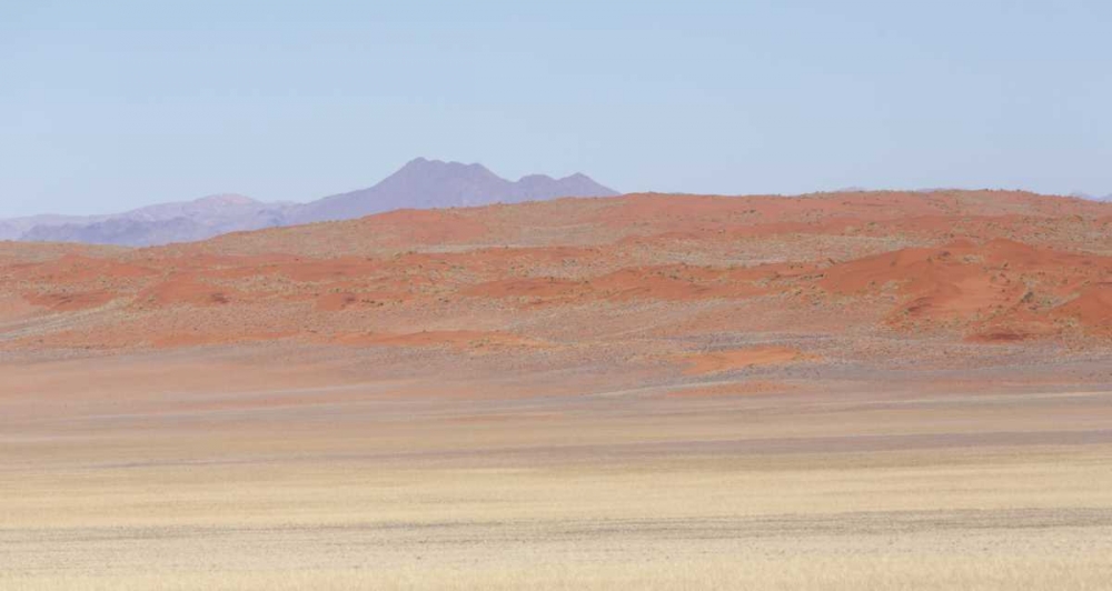 Namibia, Namib Desert Orange desert landscape art print by Wendy Kaveney for $57.95 CAD