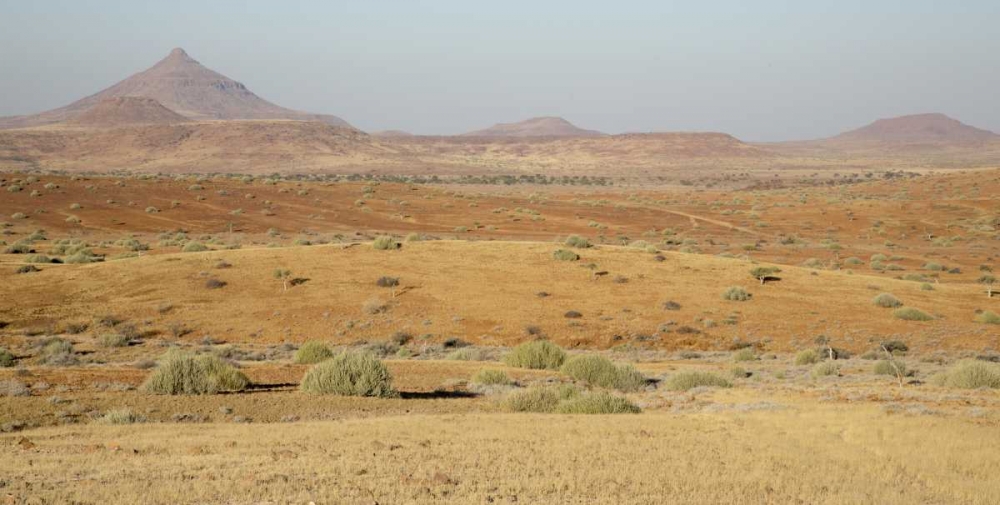 Namibia, Namib Desert, Desert landscape art print by Wendy Kaveney for $57.95 CAD