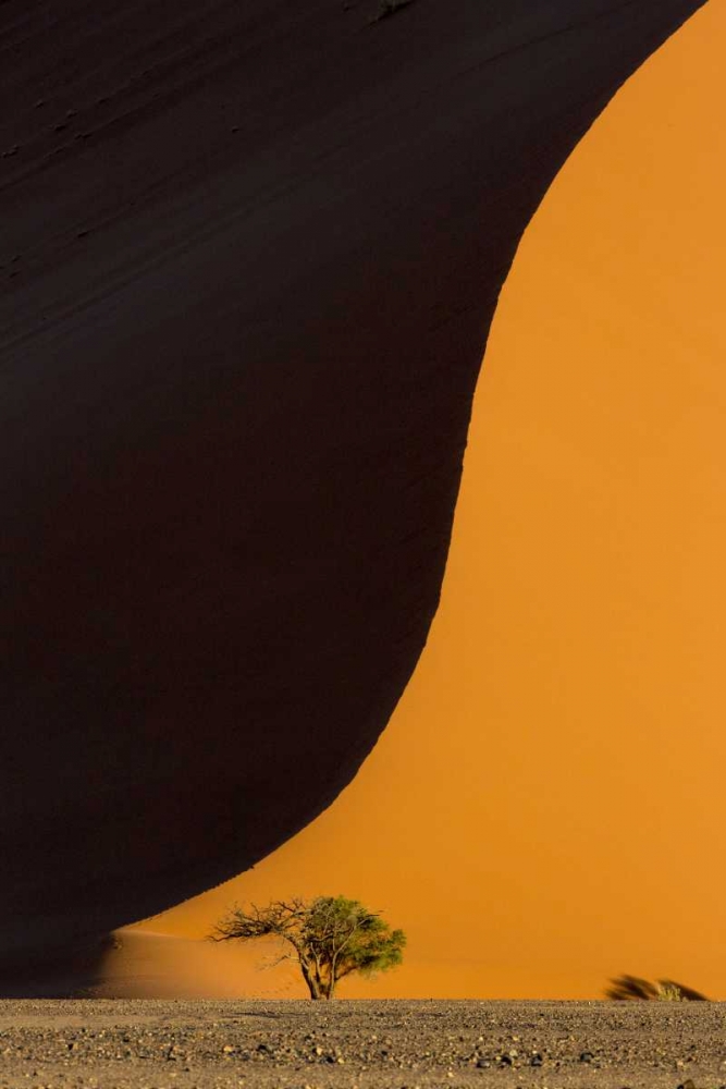 Namibia, Namib-Naukluft Park Sand dune and tree art print by Wendy Kaveney for $57.95 CAD