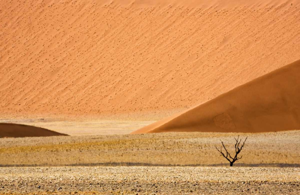 Namibia, Namib-Naukluft Sand dunes and dead tree art print by Wendy Kaveney for $57.95 CAD