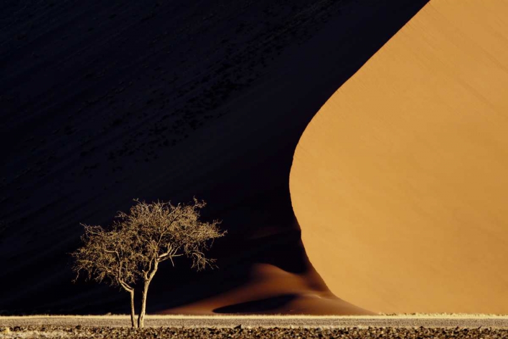 Namibia, Namib-Naukluft Park Red sand dunes art print by Wendy Kaveney for $57.95 CAD