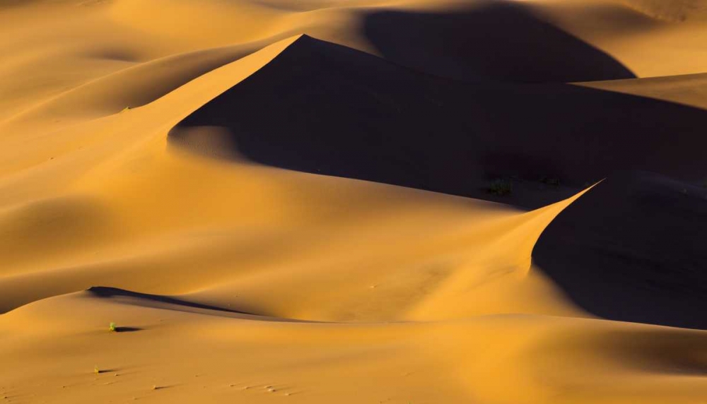 Namibia, Namib-Naukluft NP Abstract of sand dune art print by Bill Young for $57.95 CAD