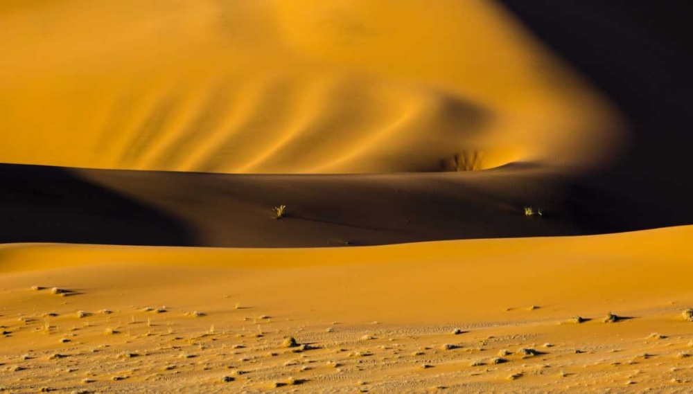 Namibia, Namib-Naukluft NP Abstract of sand dune art print by Bill Young for $57.95 CAD