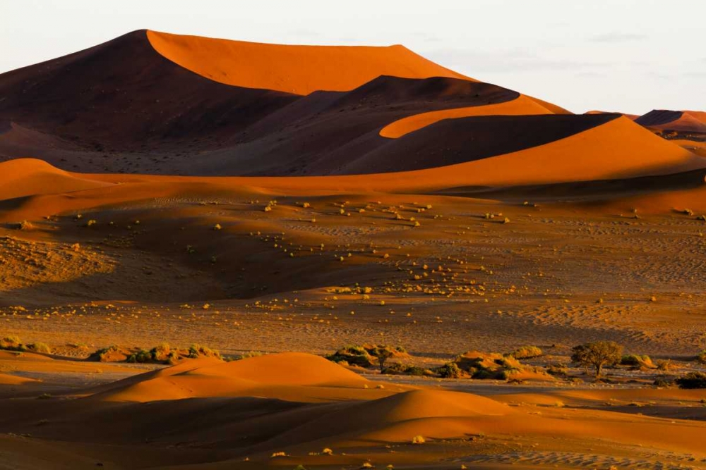 Namibia, Namib-Naukluft NP Abstract of sand dune art print by Bill Young for $57.95 CAD
