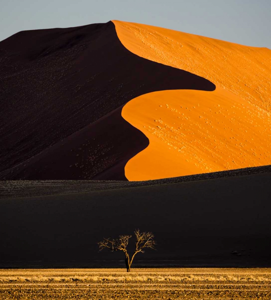 Namibia, Namib-Naukluft NP Abstract of sand dune art print by Bill Young for $57.95 CAD