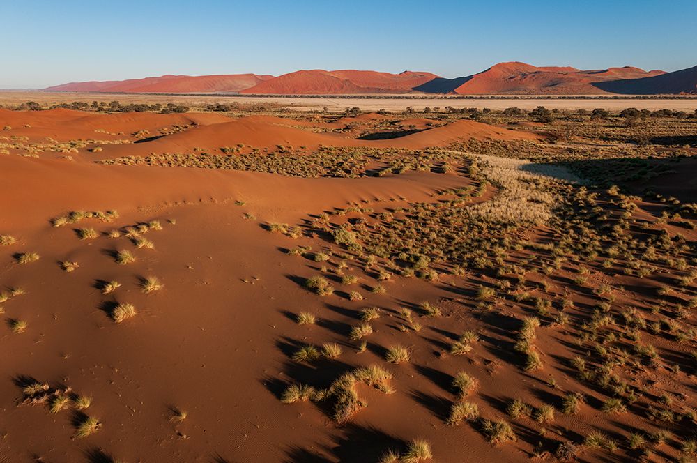 An aerial view of red sand dunes and vegetation in the Namib desert Namibia art print by Sergio Pitamitz for $57.95 CAD