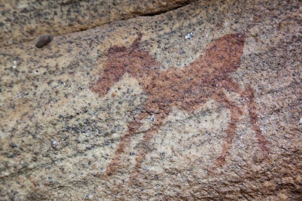 Rock art of zebra, Sevilla Trail, South Africa art print by Wendy Kaveney for $57.95 CAD