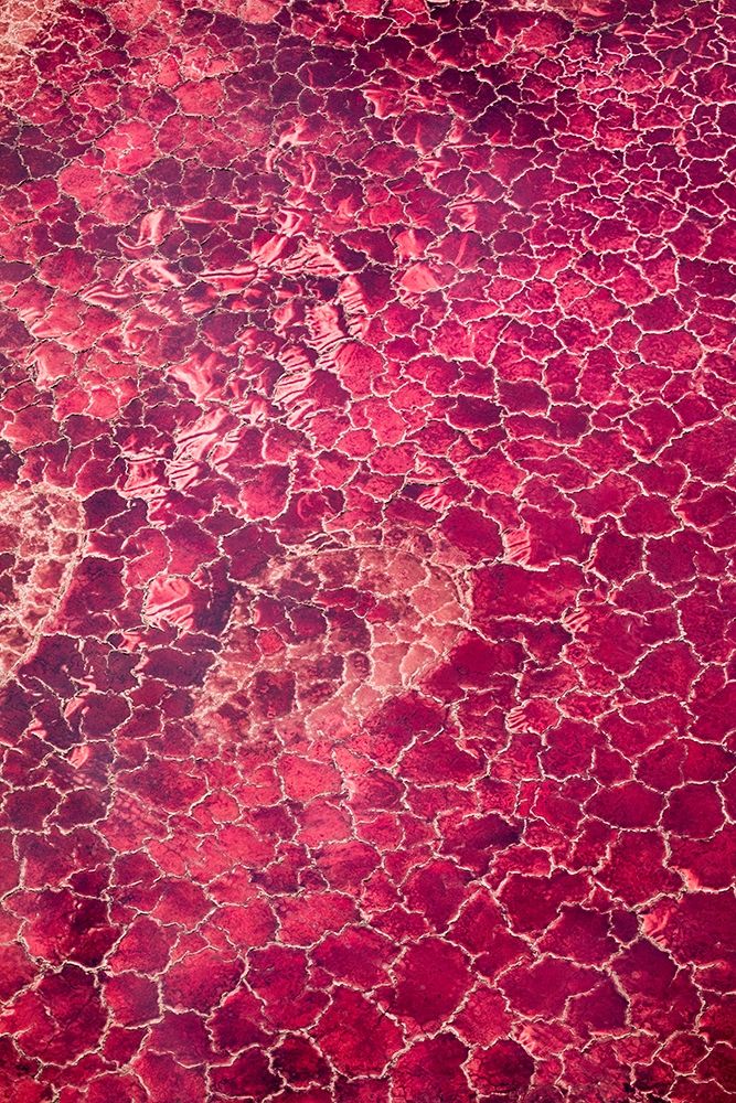 Africa-Tanzania-Aerial view of patterns of red algae and salt formations in shallow salt waters art print by Paul Souders for $57.95 CAD