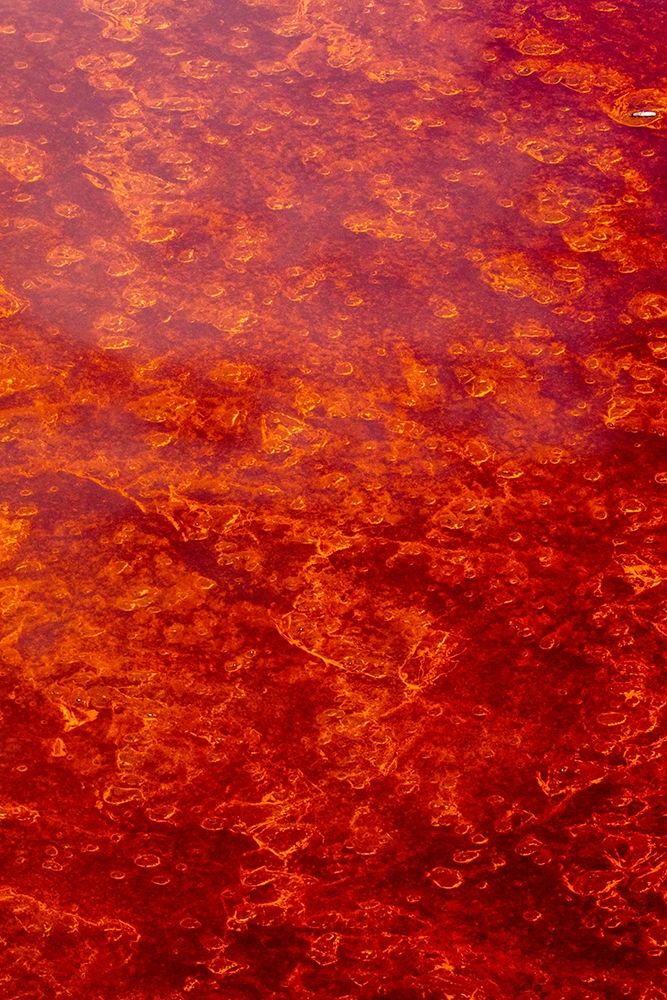 Africa-Tanzania-Aerial view of patterns of red algae and salt formations in shallow salt waters art print by Paul Souders for $57.95 CAD