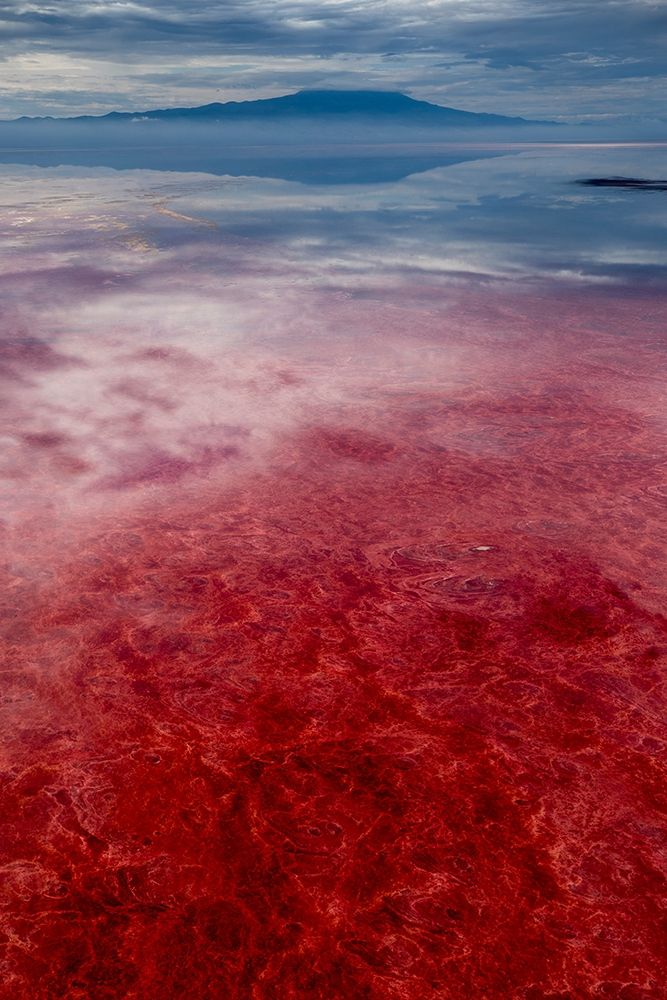 Africa-Tanzania-Enhanced contrast aerial view of patterns of red algae and salt formations art print by Paul Souders for $57.95 CAD