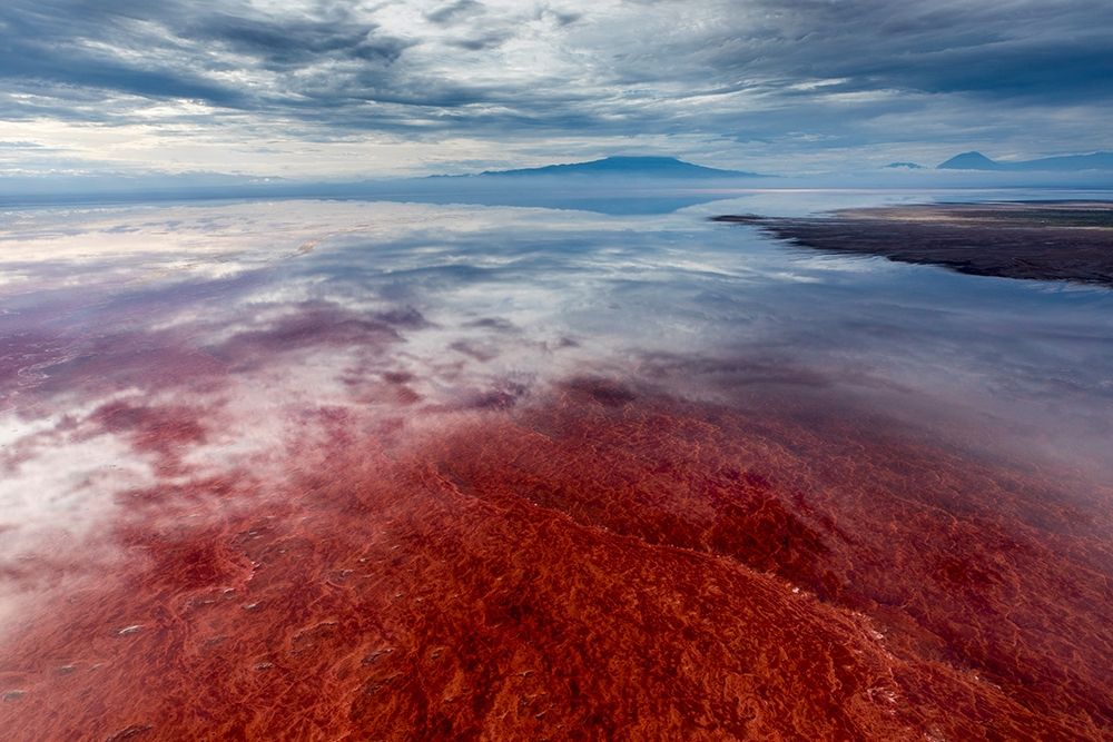 Africa-Tanzania-Enhanced contrast aerial view of patterns of red algae and salt formations art print by Paul Souders for $57.95 CAD