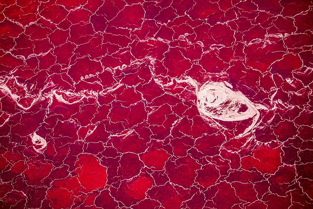 Africa-Tanzania-Aerial view of patterns of red algae and salt formations in shallow salt waters art print by Paul Souders for $57.95 CAD