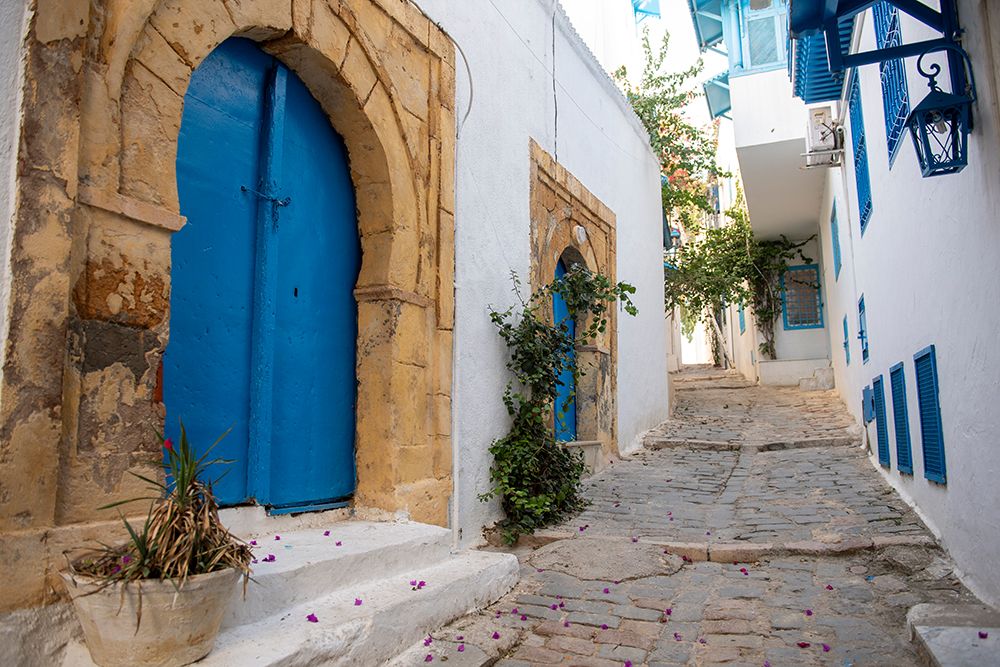 Sidi Bou Said, Tunisia, Africa. A charming alleyway in a town near the Mediterranean. art print by Alison Wright for $57.95 CAD