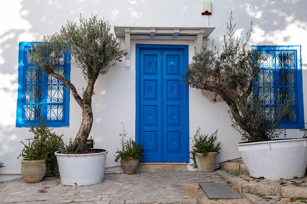 Sidi Bou Said, Tunisia, Africa. A picturesque doorway in town. art print by Alison Wright for $57.95 CAD