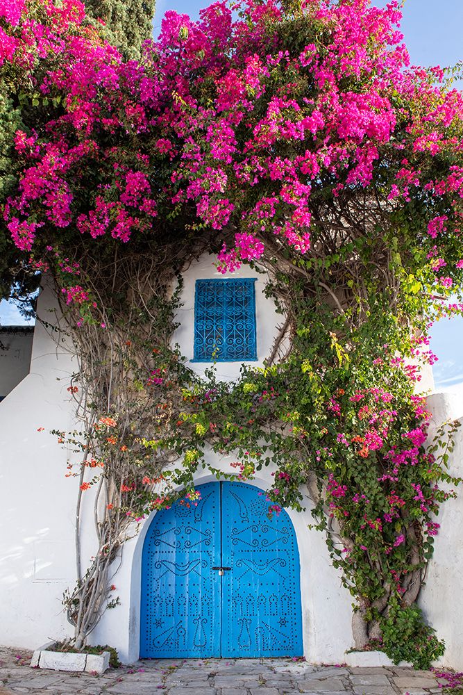 Sidi Bou Said, Tunisia, Africa. A picturesque doorway in town. art print by Alison Wright for $57.95 CAD