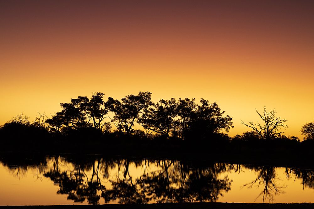 Colorful sunset at watering hole. Camelthorn Lodge. Hwange National Park. Zimbabwe. art print by Tom Norring for $57.95 CAD