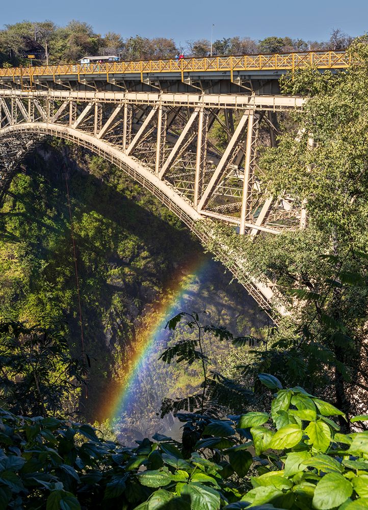 Bridge over the Zambesi River with rainbow. Zambezi National Park. Zimbabwe. art print by Tom Norring for $57.95 CAD