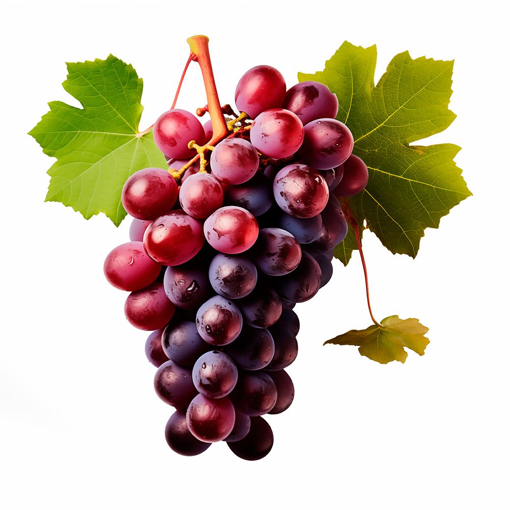 Red grapes close-up. (AI Generated) art print by Fred Lord for $57.95 CAD