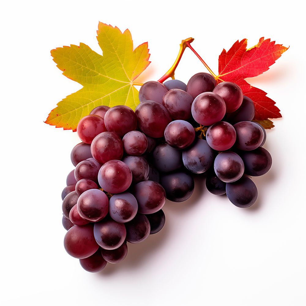 Red grapes close-up. (AI Generated) art print by Fred Lord for $57.95 CAD