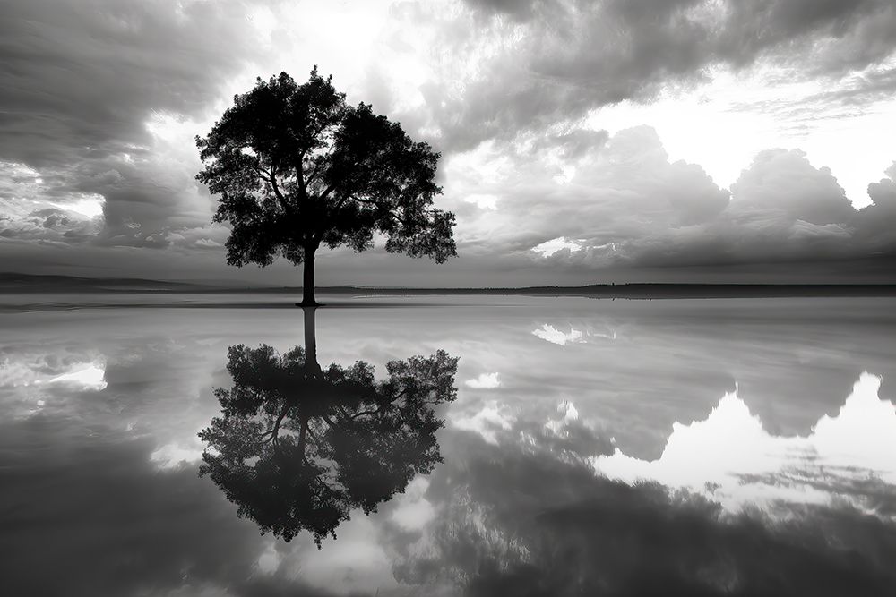 Tree reflection in lake. (AI Generated) art print by Jim Zuckerman for $57.95 CAD