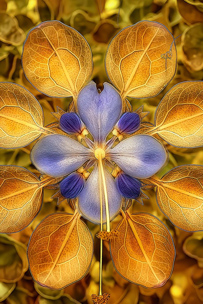 Flower and leaf design abstract. (AI Generated) art print by Jim Zuckerman for $57.95 CAD