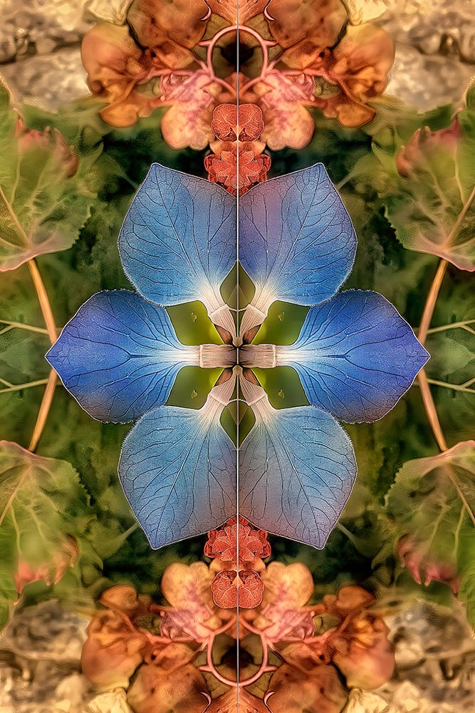 Flower and leaf design abstract. (AI Generated) art print by Jim Zuckerman for $57.95 CAD