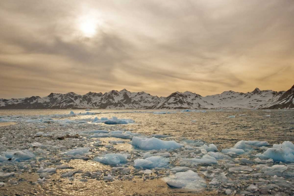 South Georgia Isl Sunset over water and sea ice art print by Gilles Delisle for $57.95 CAD
