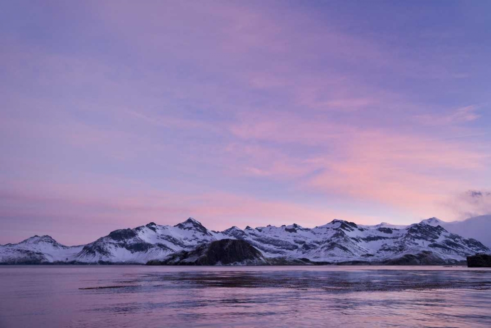 South Georgia Island, Leith Harbor Pink Sunrise art print by Don Paulson for $57.95 CAD